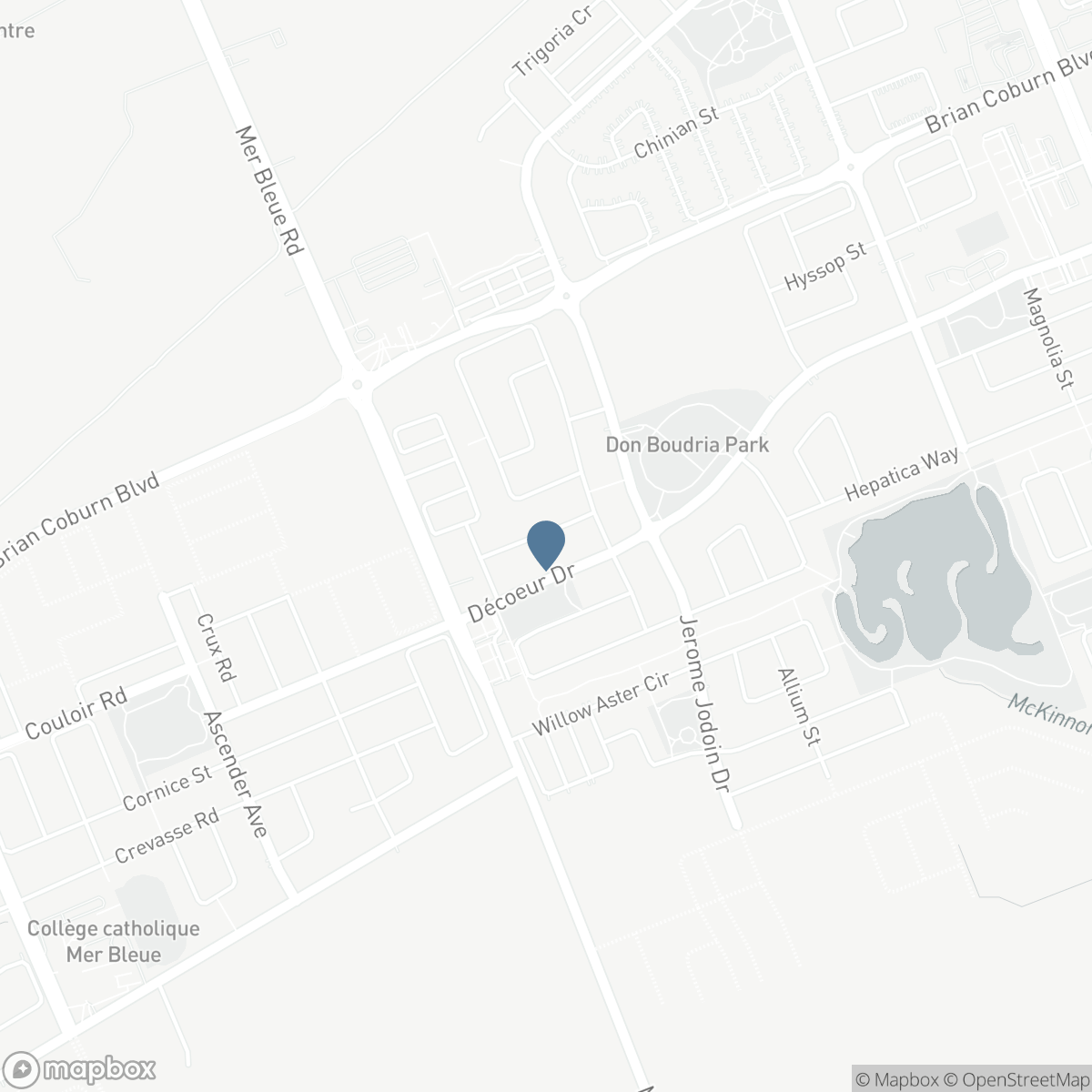 48 DAMSELFISH WALK, Ottawa, Ontario K4A 2N3